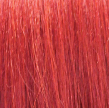 The Scarlet Human Hair Blended Bulk 22" - Jerry Curl