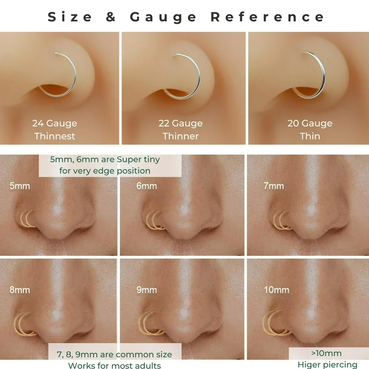 Stainless Steel Nose Hoops