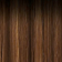 Vivace by Kiss Xceptional Gold Label Unit 14