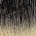 Platino Ponytail Weave Straight 30"