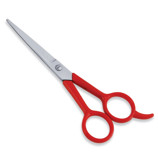Dream World Plastic Handle Scissors - 6"
